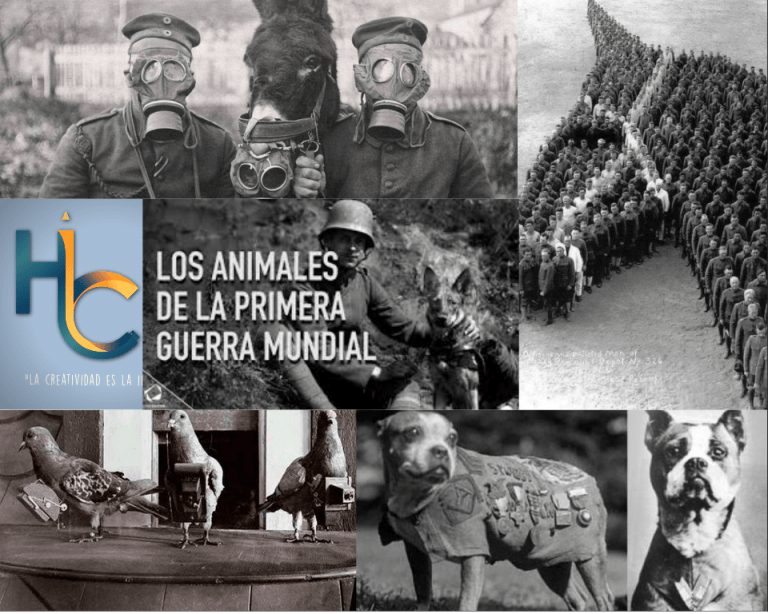 #RECURSO “Los Animales de la  Guerra…”